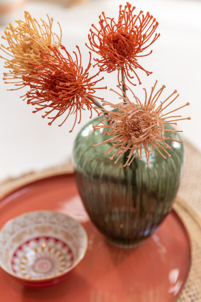 LEUCOSPERMUM PLAST L ORANJE S (9x9x48cm)